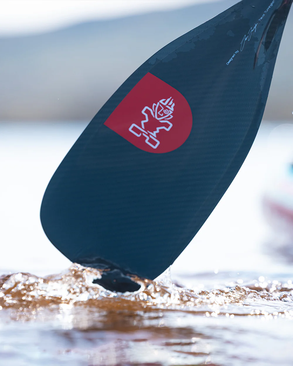 Velocity Paddle Prepreg Carbon - Image 3